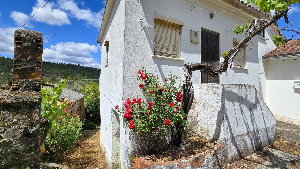 Quinta T3 para Venda em Sarzedas Foto 41