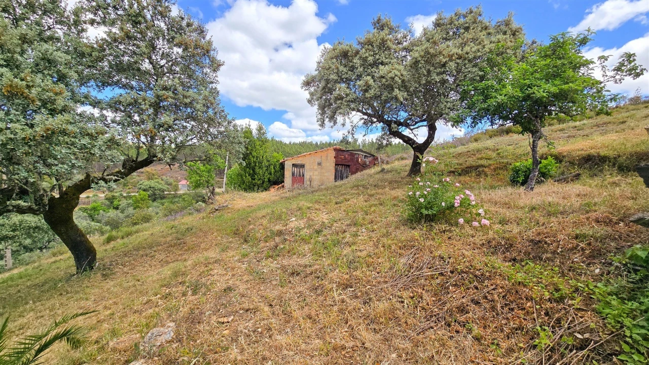 Quinta T3 para Venda em Sarzedas Foto 4