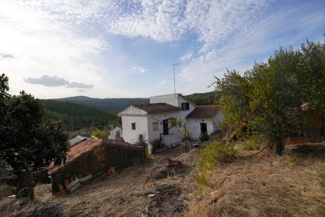 Quinta T3 para Venda em Sarzedas Foto 1