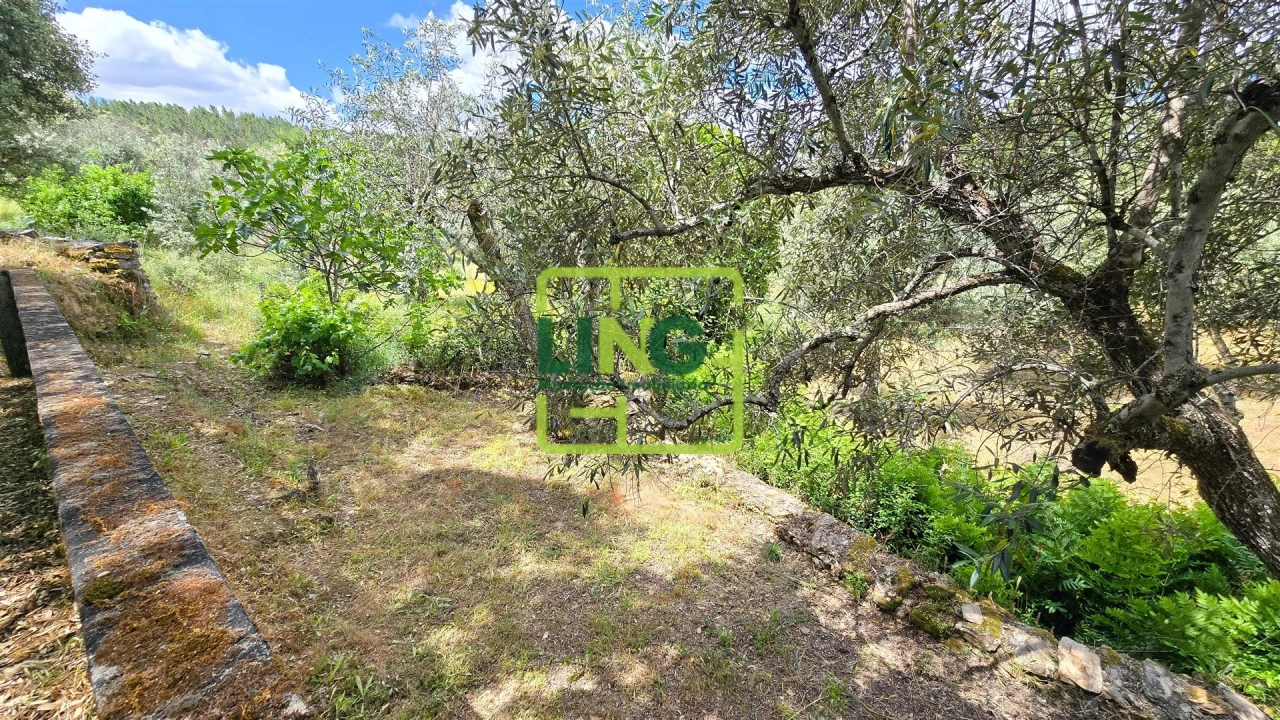 Quinta T3 para Venda em Sarzedas Foto 55