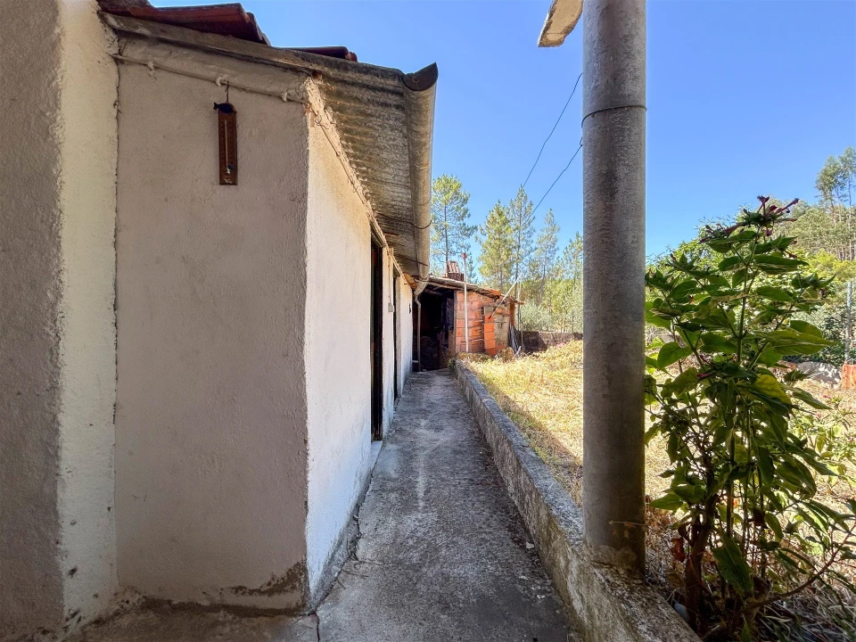Moradia T3 para Venda em Sarzedas Foto 32