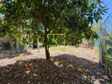 Moradia T3 para Venda em Sarzedas