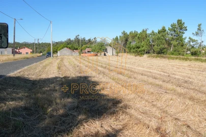 Moradia T2 para Venda em Ferreira-A-Nova