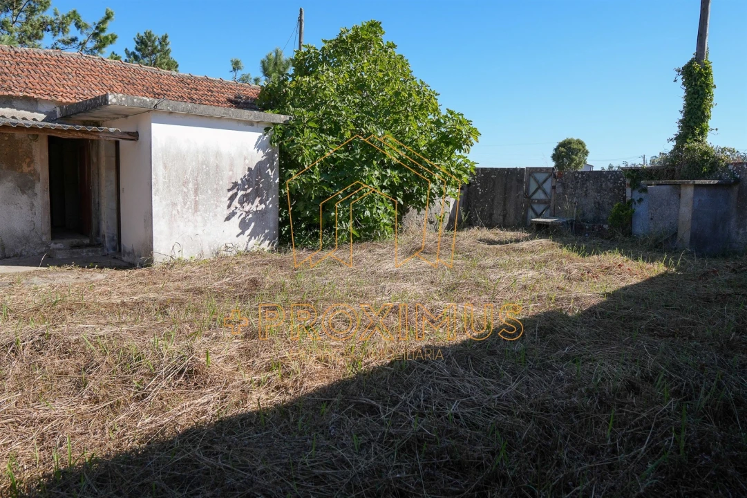 Moradia T2 para Venda em Ferreira-A-Nova Foto 21
