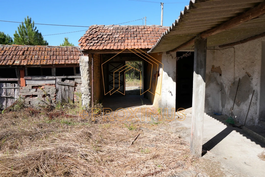 Moradia T2 para Venda em Ferreira-A-Nova Foto 17