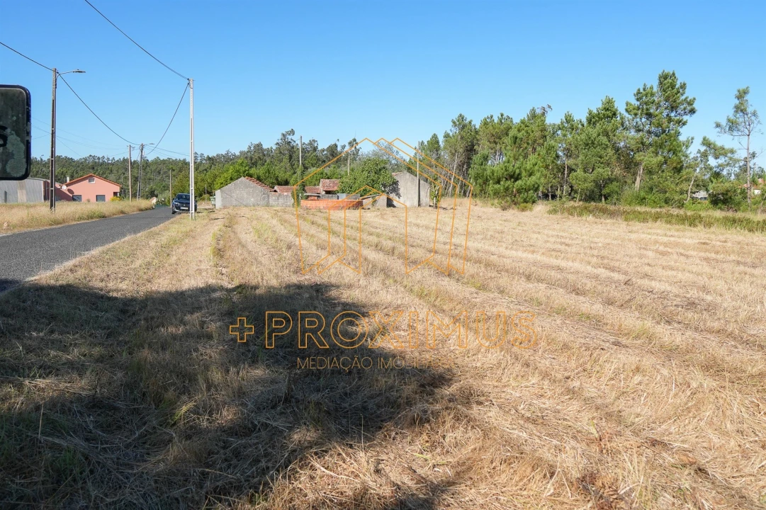 Moradia T2 para Venda em Ferreira-A-Nova Foto 40
