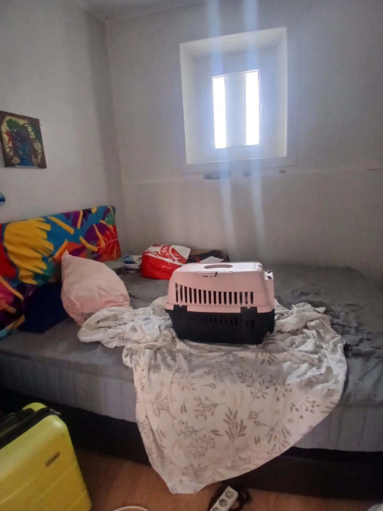 Moradia T1 para Venda em Algés, Linda-A-Velha e Cruz Quebrada-Dafundo Foto 66