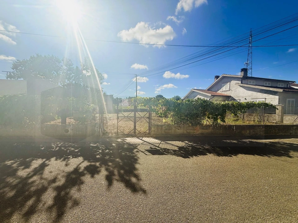 Terreno para Venda em Bustos, Troviscal e Mamarrosa Foto 2