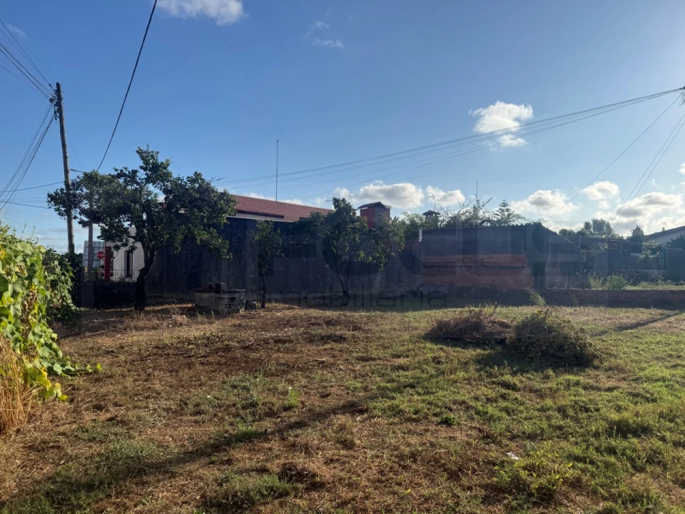 Terreno para Venda em Bustos, Troviscal e Mamarrosa Foto 4