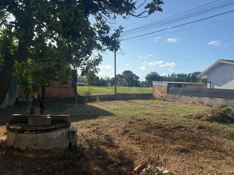 Terreno para Venda em Bustos, Troviscal e Mamarrosa Foto 7