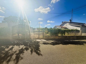 Terreno para Venda em Bustos, Troviscal e Mamarrosa