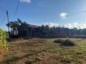 Terreno para Venda em Bustos, Troviscal e Mamarrosa
