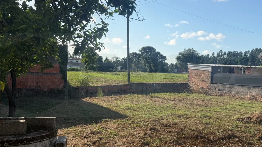 Terreno para Venda em Bustos, Troviscal e Mamarrosa