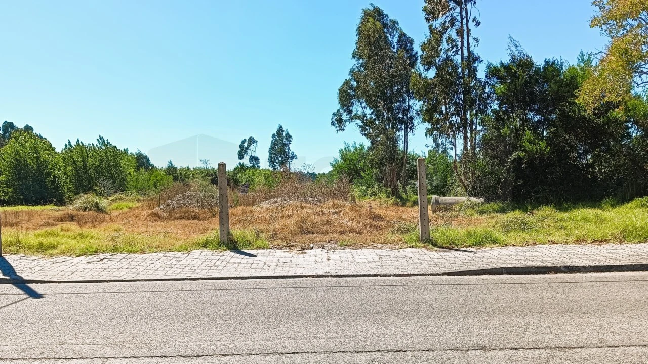 Terreno para Venda em Vagos e Santo António Foto 5