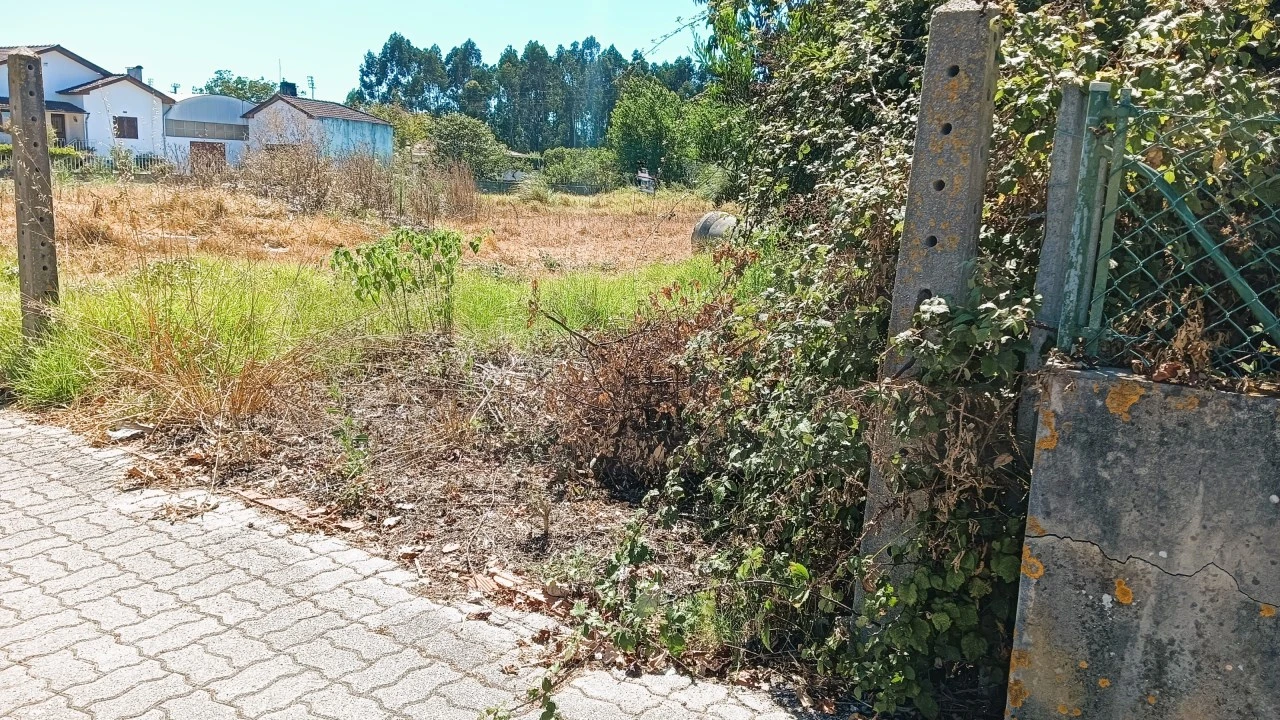 Terreno para Venda em Vagos e Santo António Foto 11