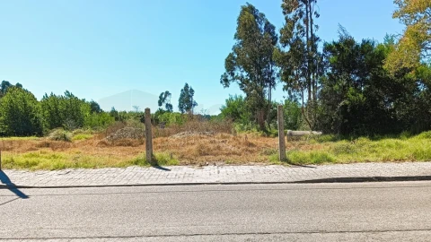 Terreno para Venda em Vagos e Santo António