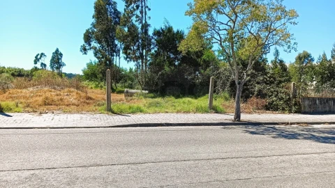 Terreno para Venda em Vagos e Santo António