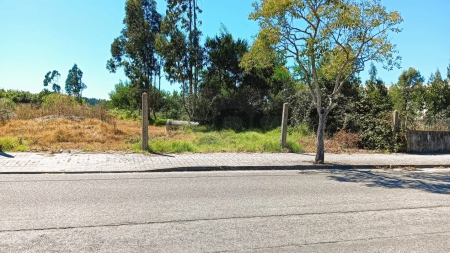 Terreno para Venda em Vagos e Santo António