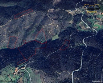 Quinta T1 para Venda em Ermida e Figueiredo