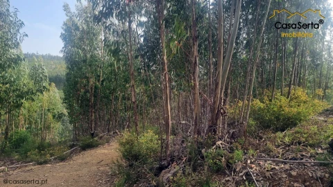 Quinta T1 para Venda em Ermida e Figueiredo