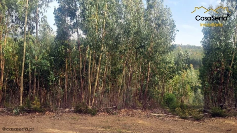 Quinta T1 para Venda em Ermida e Figueiredo