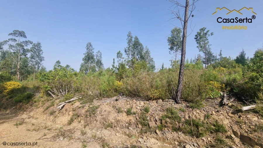 Quinta T1 para Venda em Ermida e Figueiredo Foto 7