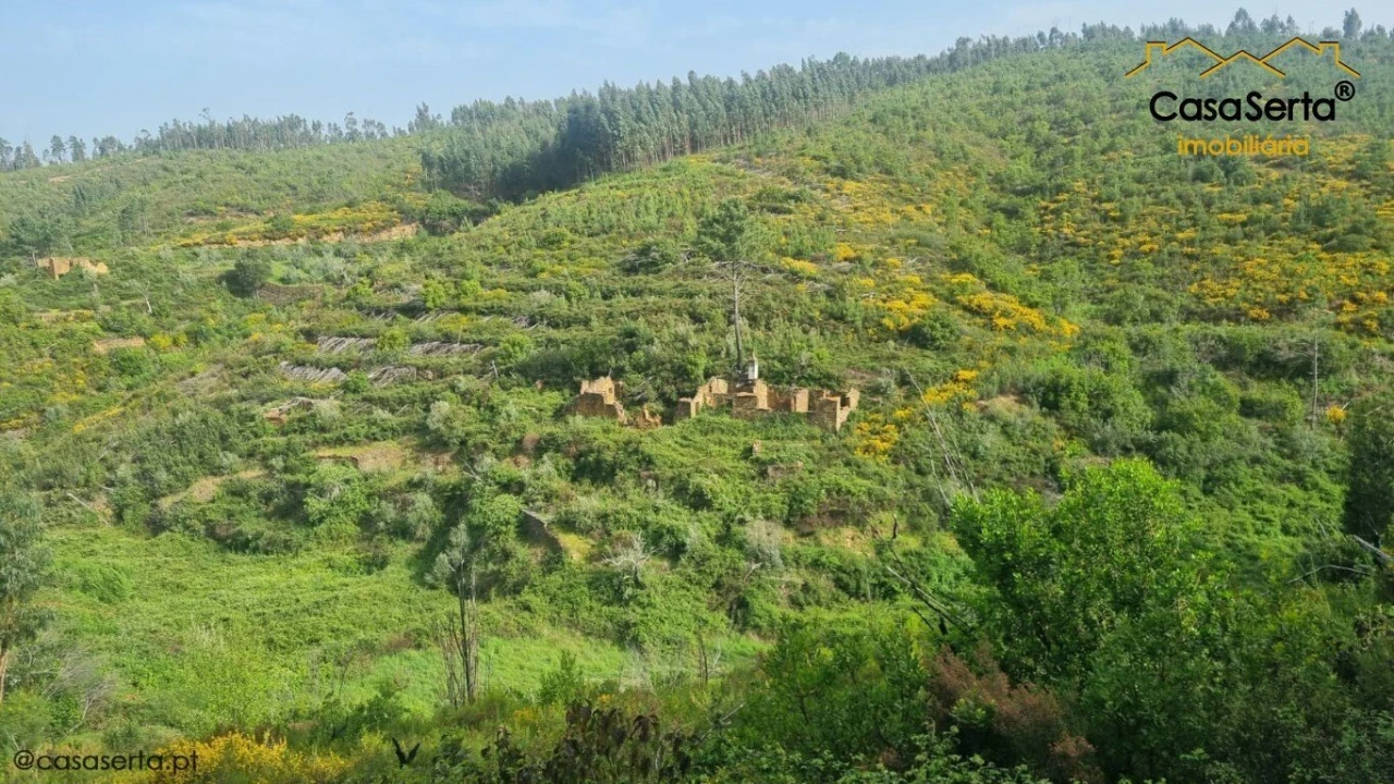 Quinta T1 para Venda em Ermida e Figueiredo Foto 4