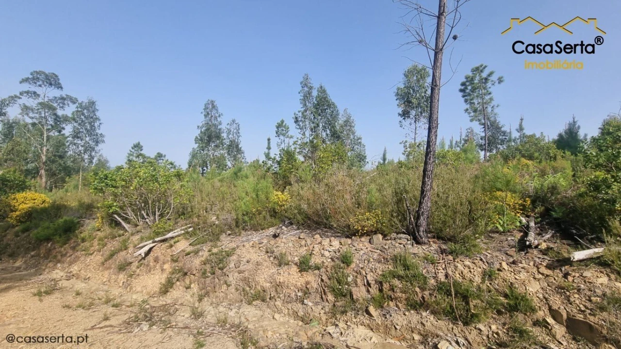 Quinta T1 para Venda em Ermida e Figueiredo Foto 7