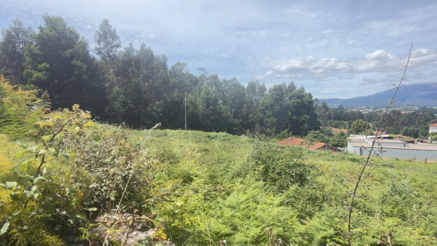 Terreno para Venda em Geraz do Lima (Santa Maria, Santa Leocádia, Moreira), Deão Foto 17