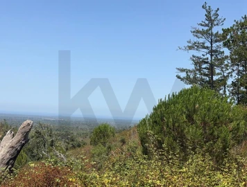 Quinta T2 para Venda em Santiago do Cacém, Santa Cruz e São Bartolomeu da Serra