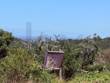 Quinta T2 para Venda em Santiago do Cacém, Santa Cruz e São Bartolomeu da Serra