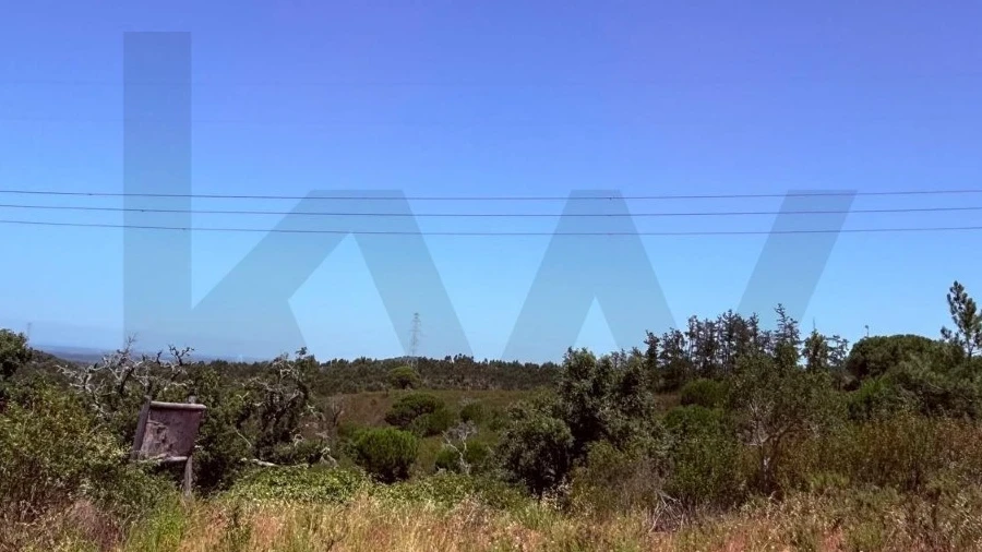 Quinta T2 para Venda em Santiago do Cacém, Santa Cruz e São Bartolomeu da Serra