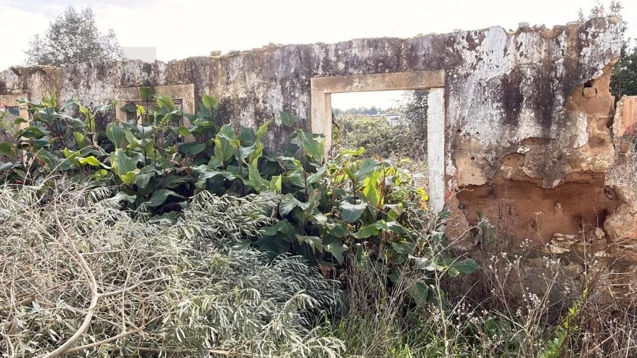 Terreno para Venda em Fraguas