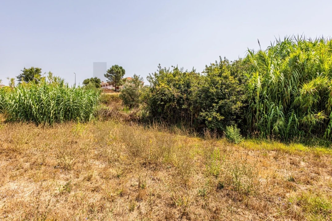 Armazém para Venda em Marvila, Ribeira Santarém, São Salvador, São Nicolau Foto 17