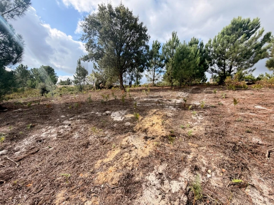 Terreno para Venda em Rio Maior Foto 9