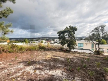 Terreno para Venda em Rio Maior