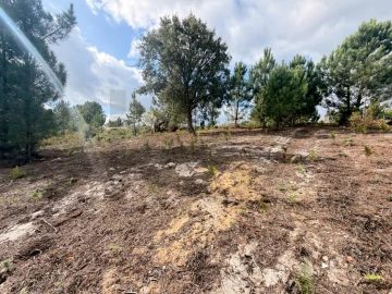 Terreno para Venda em Rio Maior