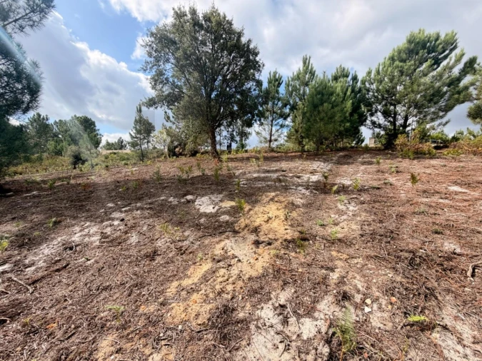 Terreno para Venda em Rio Maior Foto 9