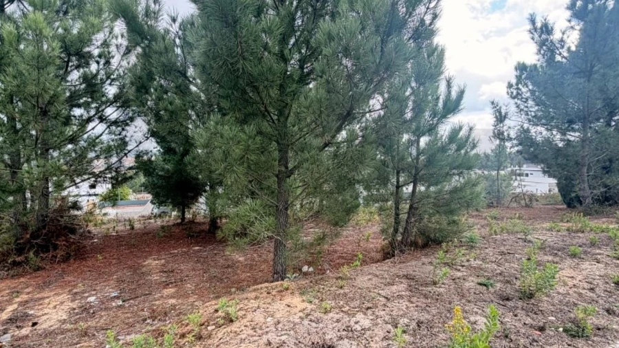 Terreno para Venda em Rio Maior