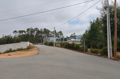 Terreno para Venda em Nogueira do Cravo e Pindelo