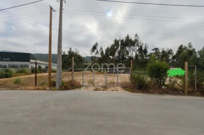 Terreno para Venda em Nogueira do Cravo e Pindelo