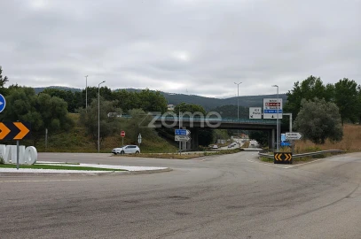 Terreno para Venda em Nogueira do Cravo e Pindelo