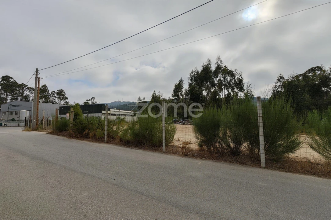 Terreno para Venda em Nogueira do Cravo e Pindelo Foto 1
