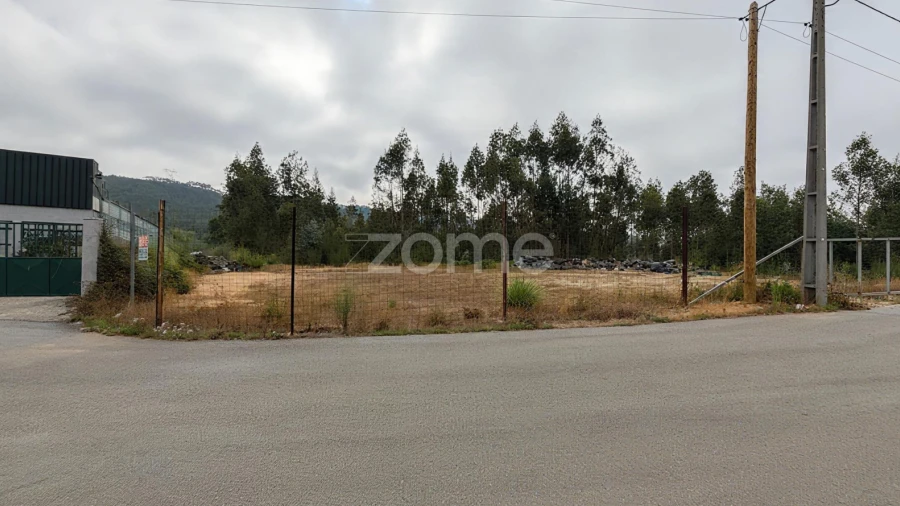 Terreno para Venda em Nogueira do Cravo e Pindelo