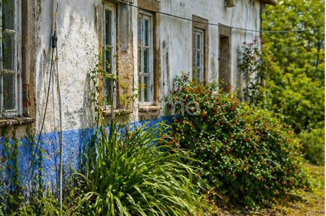 Quinta T10 para Venda em Alcaide Foto 45