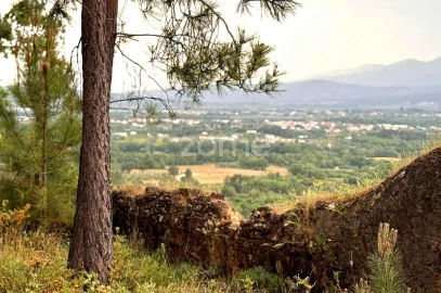 Quinta T10 para Venda em Alcaide