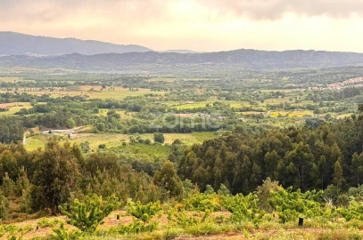 Quinta T10 para Venda em Alcaide