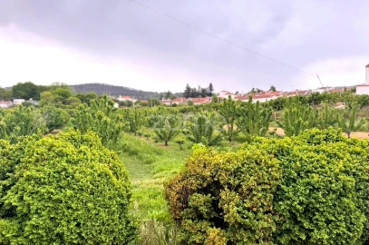 Quinta T10 para Venda em Alcaide