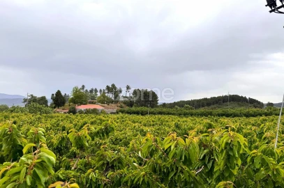 Quinta T10 para Venda em Alcaide