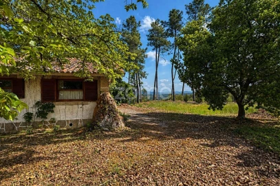 Quinta T10 para Venda em Alcaide